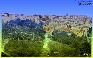 Mostaganem 027- vue du fort de l'est